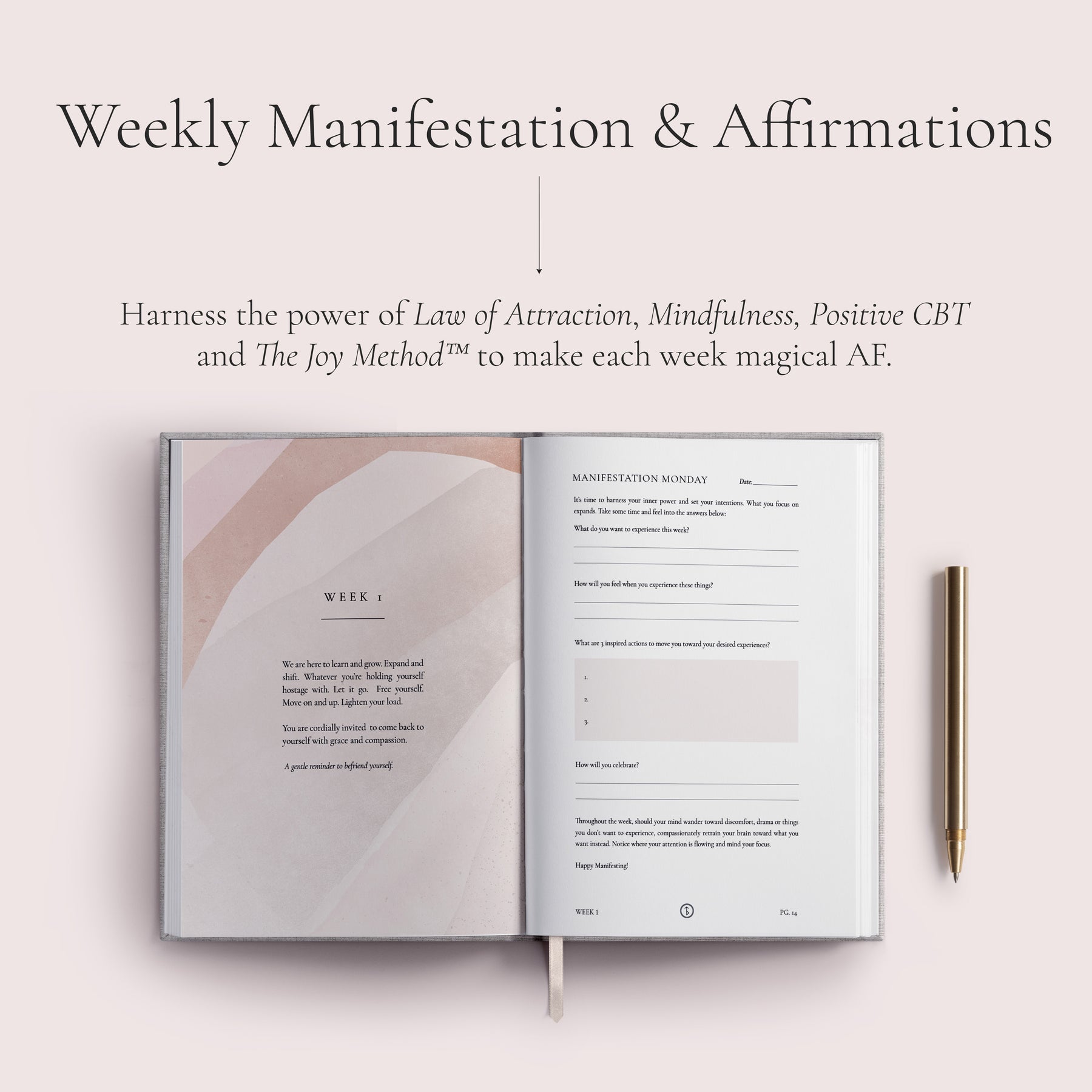 Single Journal One Journal (90 Day Supply) – The Daily Joy Journal